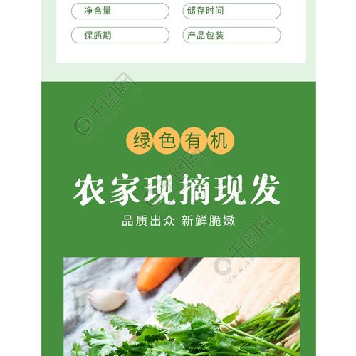 简约清新蔬菜水果农产品香菜详情页