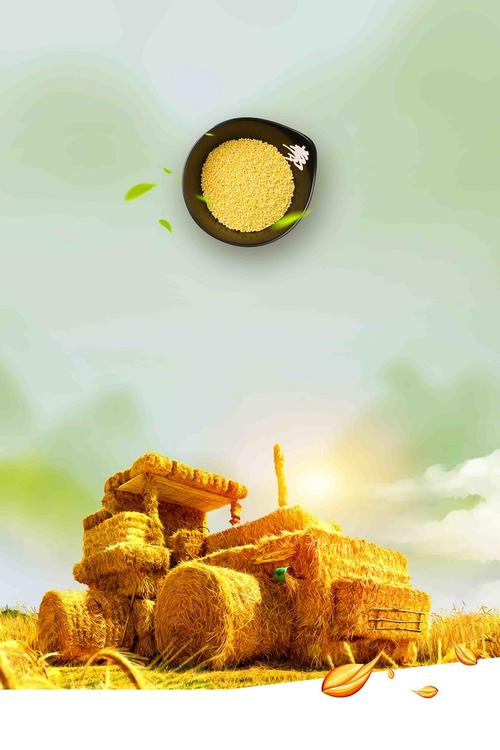 五谷杂粮粮食简洁创意农产品海报