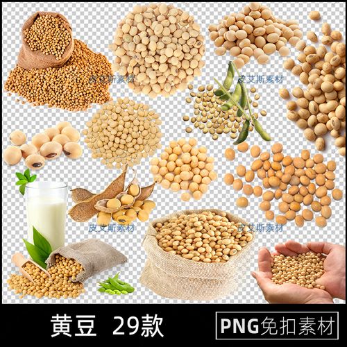png透明图黄豆农产品大豆图片五谷杂粮海报设计插图ps素材