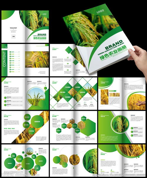 绿色农业农产品清新健康环保画册图片